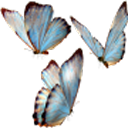 hatchetburiied avatar