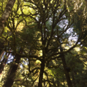 hateharryy-blog avatar