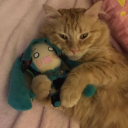 hatsunepiku2009 avatar