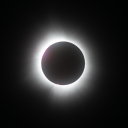 hatterandahare avatar