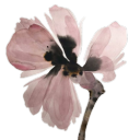 haunted-by-words avatar