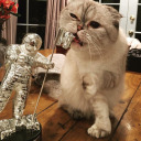 haunted-swiftie13 avatar