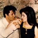 hauntedarchivesx avatar