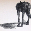 hauntedbicycle avatar