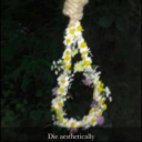 hauntedblazebouquet avatar