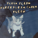 hauntedcatswearinghats avatar