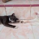 hauntedcomputerunknown avatar