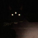 hauntedmoths avatar