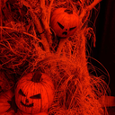 hauntedpumpkin avatar