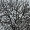 hauntedreputation avatar