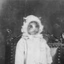 hauntedstairs avatar