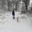 haunting-hell avatar