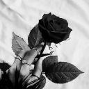 hauntinglybored10 avatar