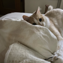 haveagoodlaughortwo avatar