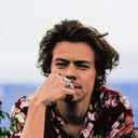 havee-you-met-ted avatar