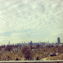 havenandheights avatar