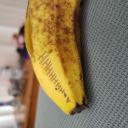 haveneverbeengayer avatar