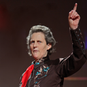 haveyouheardoftemplegrandin avatar