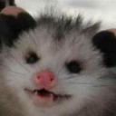 havinganexistentalcrisis avatar