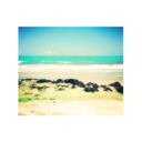 havingfun-inthesun avatar