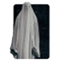 havntedhouses avatar