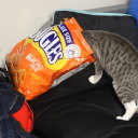 hawaiianshirts-butlikepunk avatar