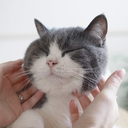 haweyarchive-blog avatar