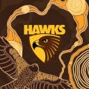 hawthorn-hawks avatar