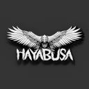 hayabusasims avatar