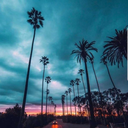 hayaletmekbadava avatar