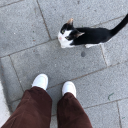 hayalininpesinden avatar