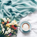 hayatcokrerero avatar