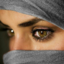 hayatelbereir avatar