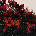 hayatisorsalar avatar