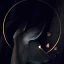 haydenlskylark avatar