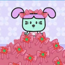 hayleybunny1222 avatar