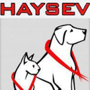 haysev avatar