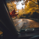 hazan-mevsimim avatar