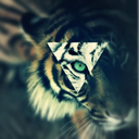 hazard247-blog avatar