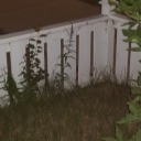 hazardous-homosexual avatar