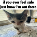 hazel-nethzzz avatar