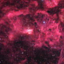 hazelandellasmom avatar