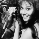 hazeldeereyes avatar