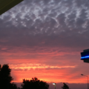 hazeleyedgirly avatar