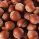 hazelnutsandstrawberries avatar