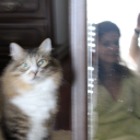 hazelnutsfantasy avatar