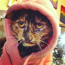 hbaudendistel avatar