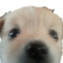 hchyperfixationhell avatar