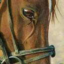 hdooa262sea-blog avatar