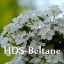 hdsbeltane avatar